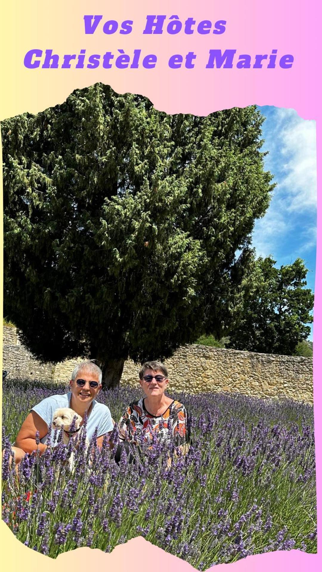 Clos De La Noria Pont-Saint-Esprit Εξωτερικό φωτογραφία